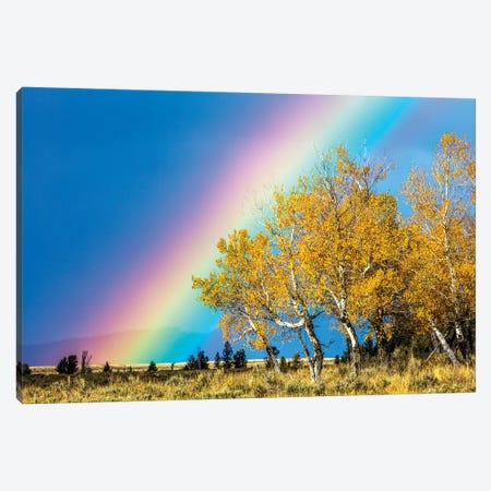 Rainbow over Aspens, Grand Teton National Park, Wyoming Canvas Print #AWO24} by Art Wolfe Canvas Print