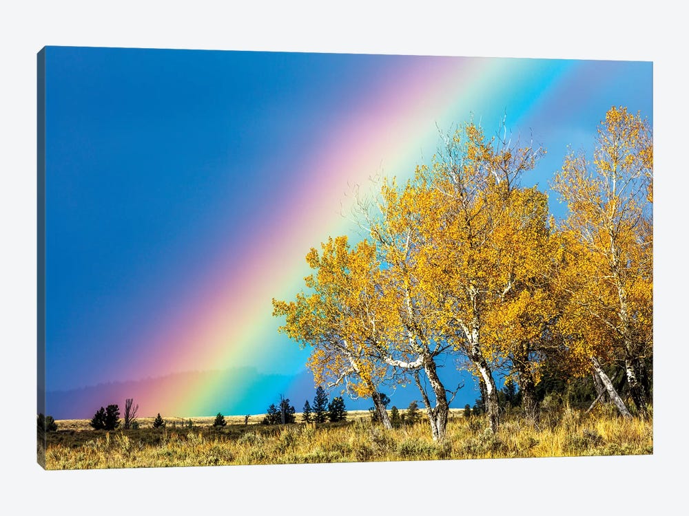 Rainbow over Aspens, Grand Teton National Park, Wyoming by Art Wolfe 1-piece Canvas Wall Art