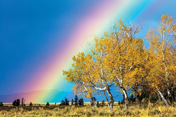 Wyoming: Rainbow over Aspens, Grand Teton National Park, Wyoming by Art Wolfe