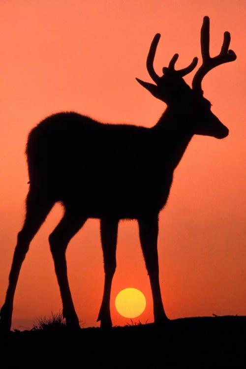 Romantic Silhouetted Deers Embracing at Sunset in Vaporwave Style