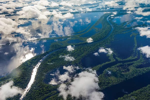 Art Wolfe: Aerial of Amazon River Basin I, Manaus, Brazil by Art Wolfe