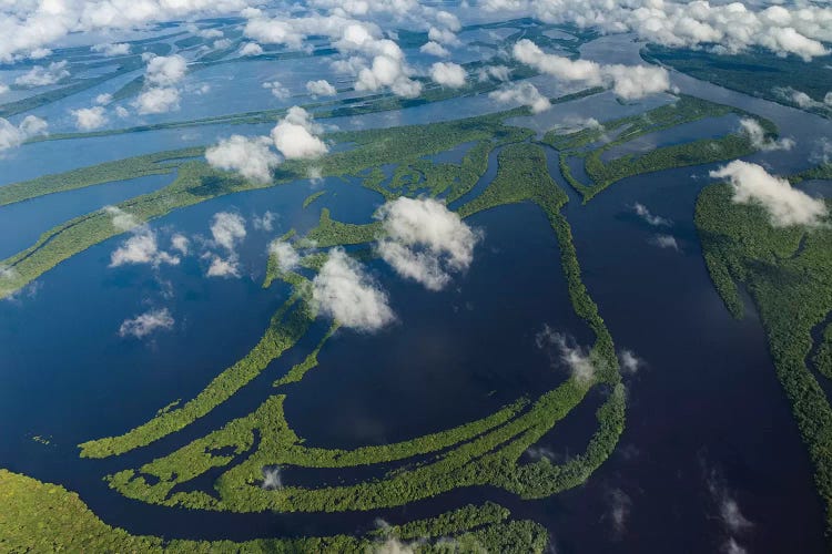 Aerial of Amazon River Basin, Manaus, Brazil II