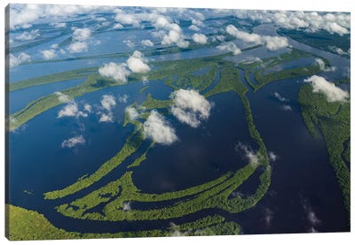 Aerial of Amazon River Basin, Manaus, Brazil II Canvas Art Print