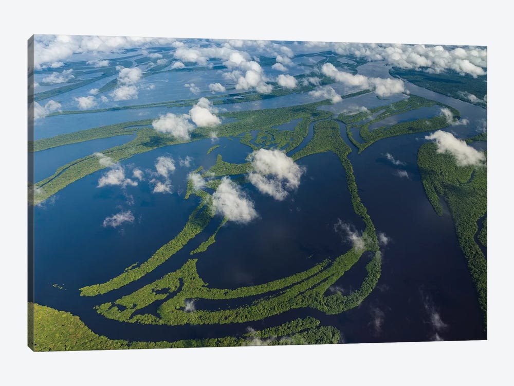 Aerial of Amazon River Basin, Manaus, Brazil II by Art Wolfe 1-piece Canvas Artwork