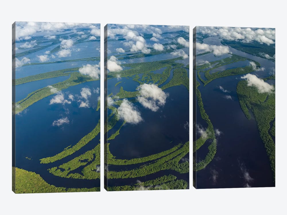 Aerial of Amazon River Basin, Manaus, Brazil II by Art Wolfe 3-piece Canvas Artwork