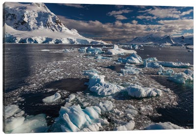 Antarctic Peninsula, Antarctica Canvas Art Print - Glacier & Iceberg Art