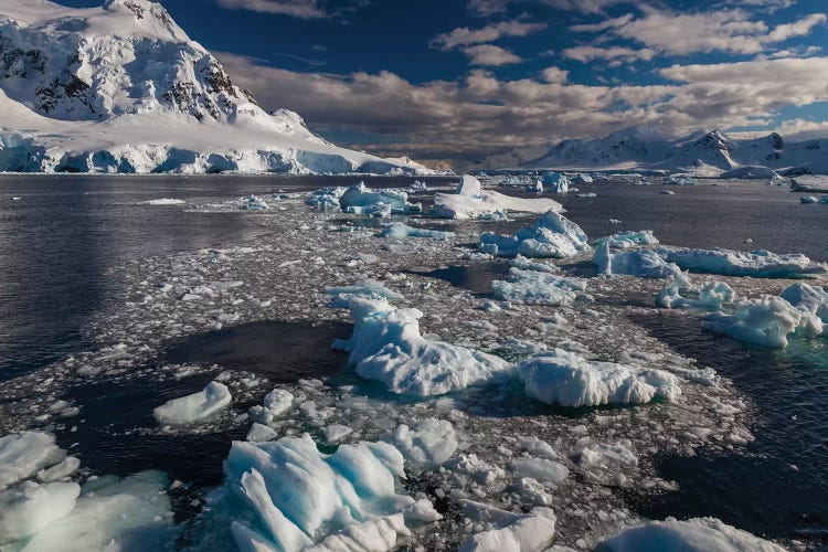 Antarctic Peninsula, Antarctica