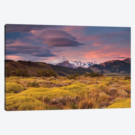 Argentina, Patagonia landscape Canvas Print #AWO8} by Art Wolfe Canvas Art