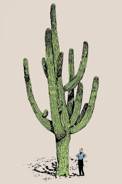 Cactus Man by Arrow Wind Prints gallery poster