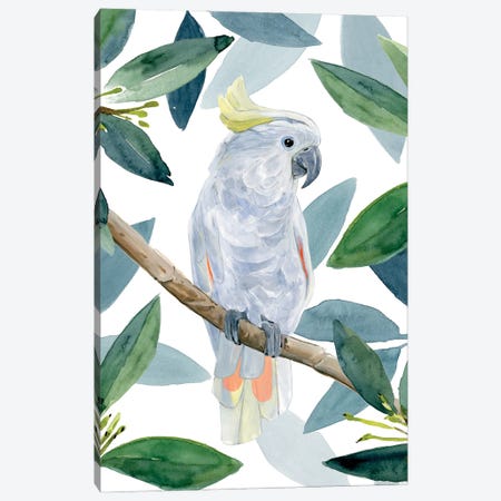 Cockatoo Perch I Canvas Print #AWR101} by Annie Warren Canvas Art Print