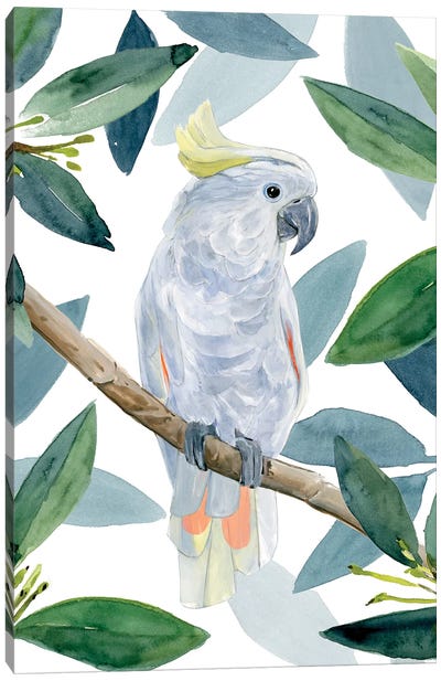 Cockatoo Perch I Canvas Art Print - Cockatoo Art