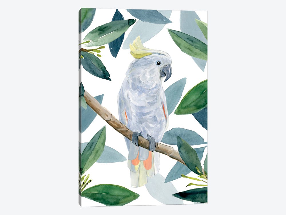 Cockatoo Perch I by Annie Warren 1-piece Canvas Artwork