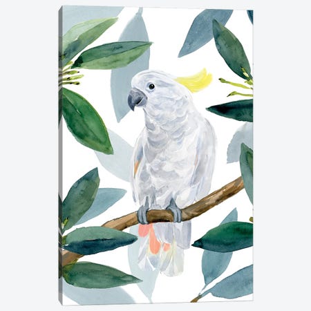Cockatoo Perch II Canvas Print #AWR102} by Annie Warren Art Print