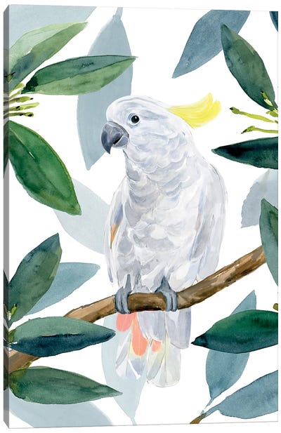 Cockatoo Perch II Canvas Art Print - Cockatoos