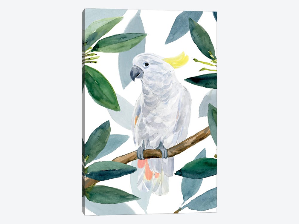 Cockatoo Perch II by Annie Warren 1-piece Canvas Print