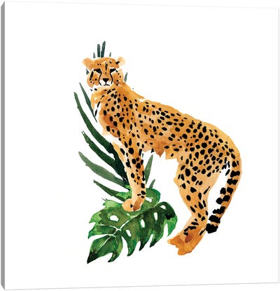Cheetah Outlook II Canvas Art Print