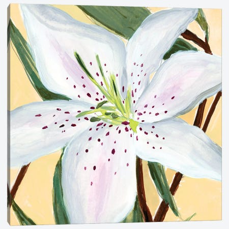 White Lily II Canvas Print #AWR112} by Annie Warren Canvas Art