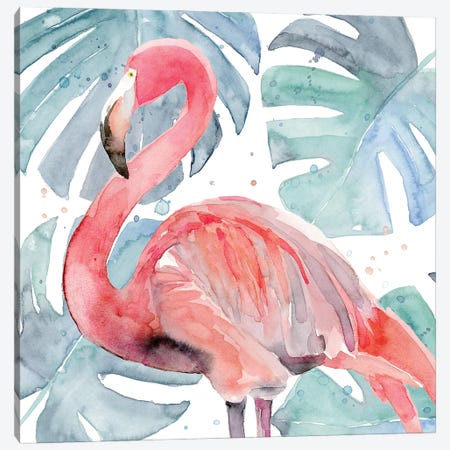 Flamingo Splash II Canvas Print #AWR116} by Annie Warren Canvas Art Print
