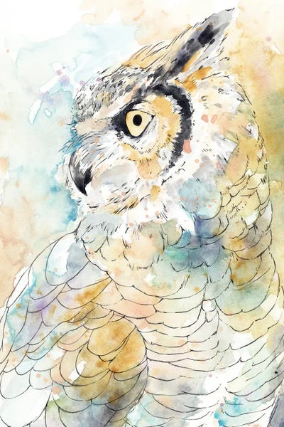 Owl Majestic I