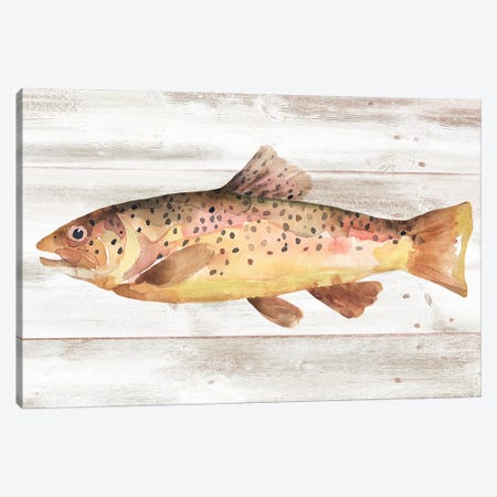 Spotted Trout I Canvas Print #AWR148} by Annie Warren Canvas Print