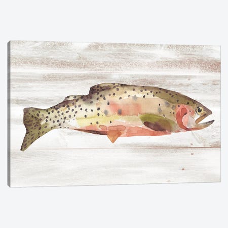 Spotted Trout II Canvas Print #AWR149} by Annie Warren Canvas Art Print