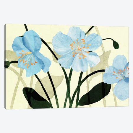 Blue Poppies I Canvas Print #AWR156} by Annie Warren Canvas Art Print