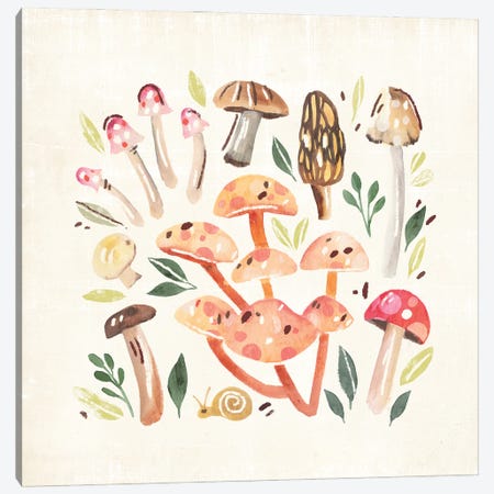 Fungi Field Trip I Canvas Print #AWR172} by Annie Warren Canvas Artwork