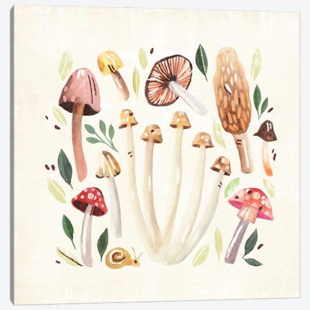 Fungi Field Trip II Canvas Print #AWR173} by Annie Warren Canvas Wall Art