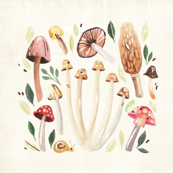 Gardening: Fungi Field Trip II by Annie Warren