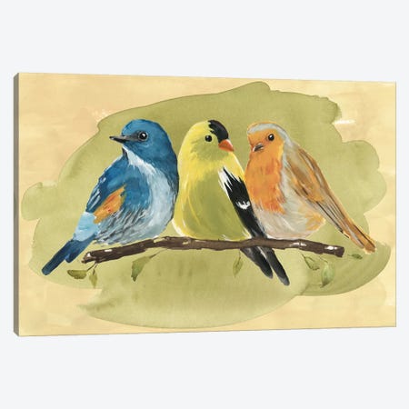 Bird Perch I Canvas Print #AWR1} by Annie Warren Canvas Wall Art
