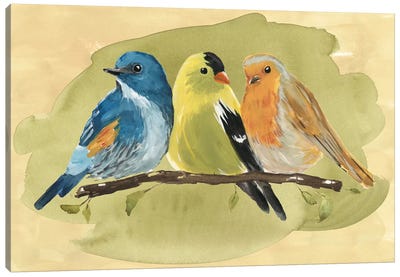 Bird Perch I Canvas Art Print