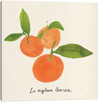 Citrus Trattare II Canvas Art Print - Orange Art