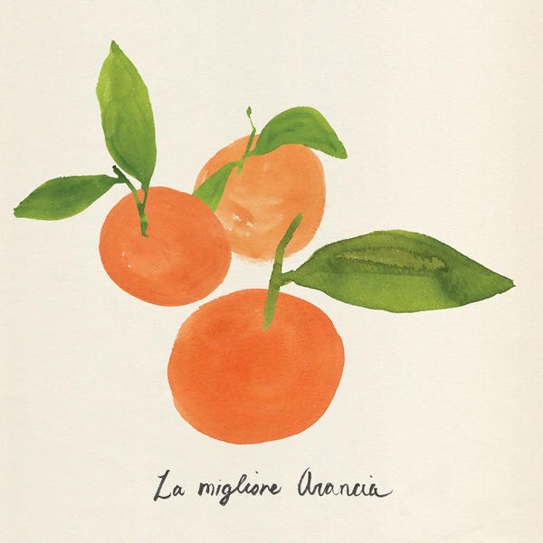 Oranges: Citrus Trattare II by Annie Warren