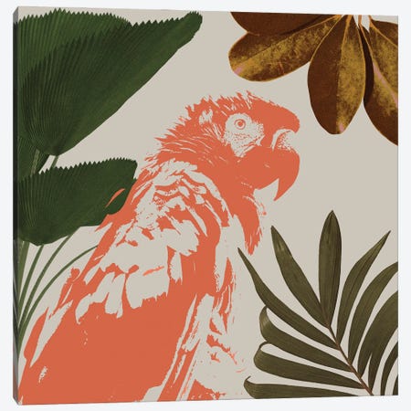 Graphic Tropical Bird I Canvas Print #AWR222} by Annie Warren Canvas Art