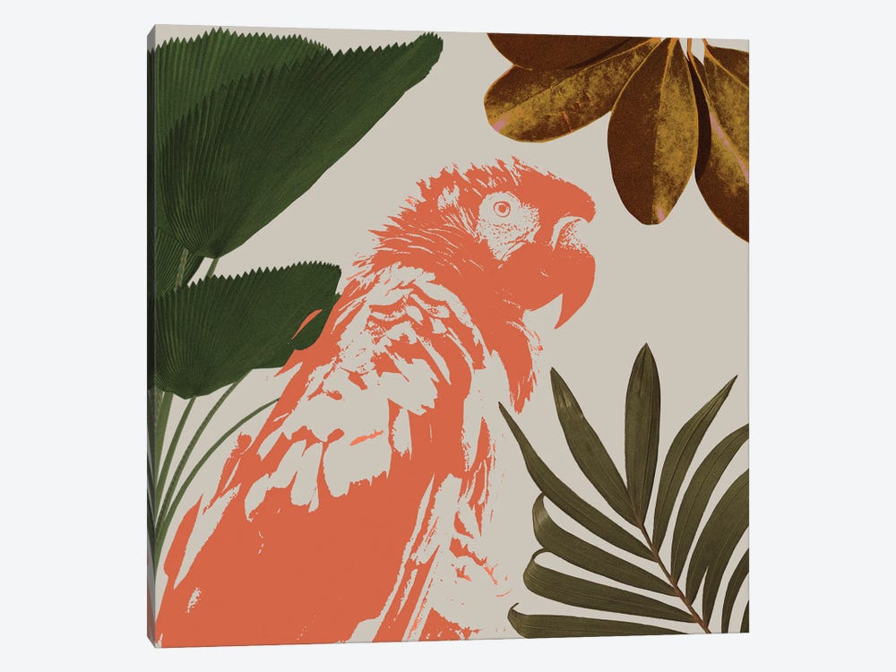 Graphic Tropical Bird I by Annie Warren 1-piece Canvas Art Print