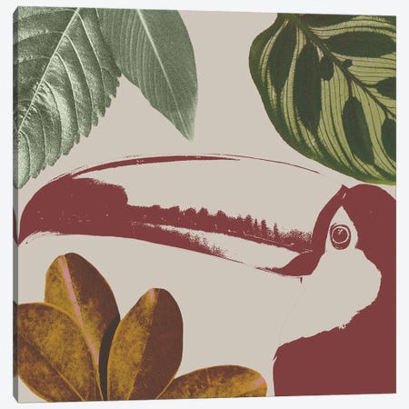 Graphic Tropical Bird V Canvas Print #AWR225} by Annie Warren Canvas Print