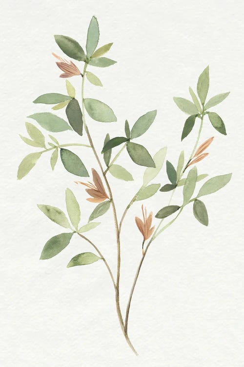 Single Sprig I
