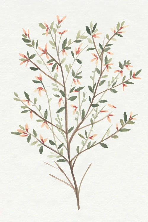 Single Sprig III