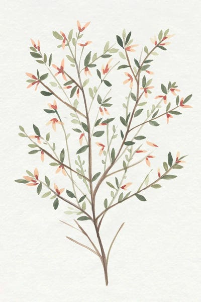 Single Sprig III