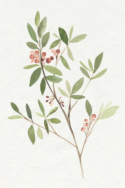 Single Sprig IV
