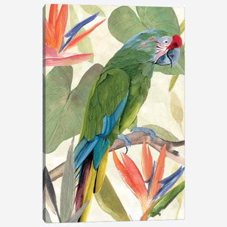 Tropical Parrot Composition I Canvas Print #AWR257} by Annie Warren Canvas Art