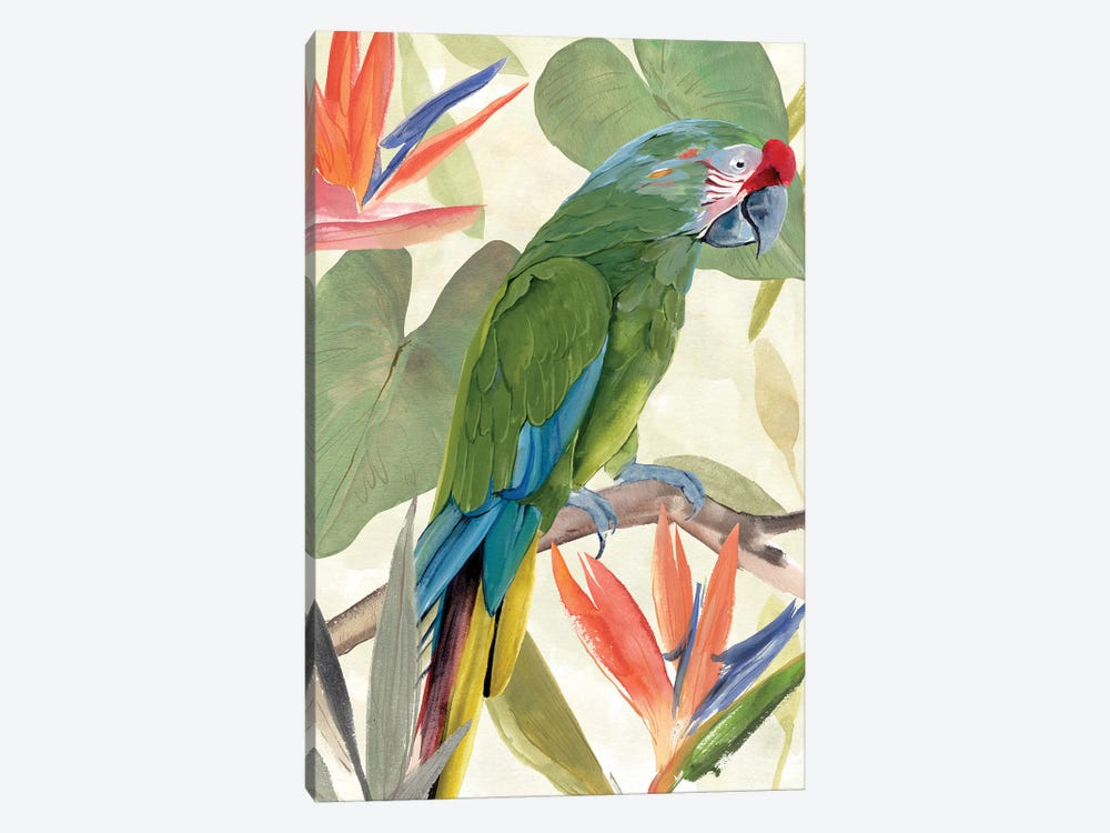 Tropical Parrot Composition I 1-piece Canvas Print