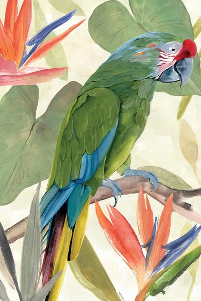 Parrots: Tropical Parrot Composition I by Annie Warren