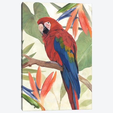 Tropical Parrot Composition II Canvas Print #AWR258} by Annie Warren Canvas Print