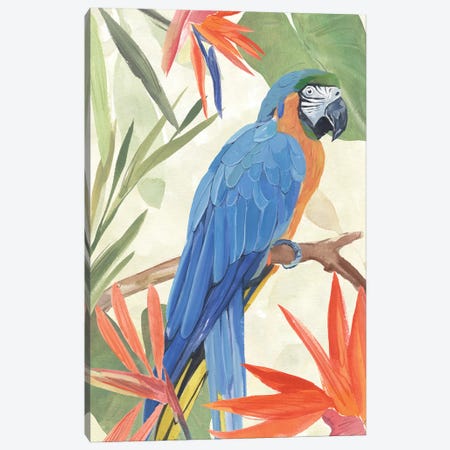 Tropical Parrot Composition IV Canvas Print #AWR259} by Annie Warren Art Print