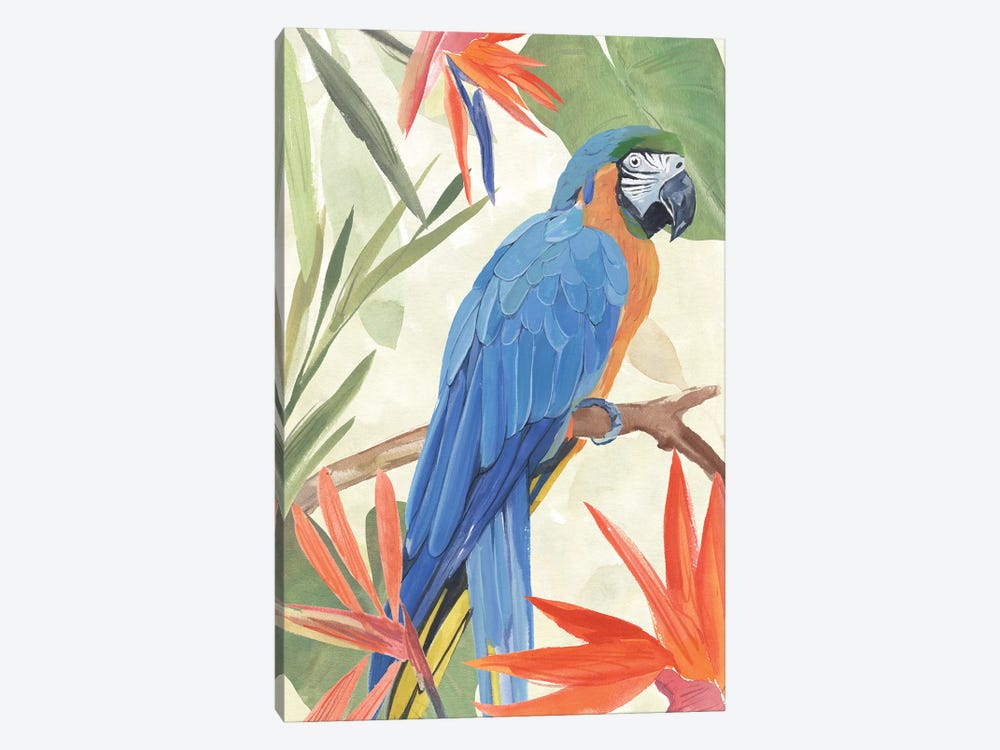 Tropical Parrot Composition IV by Annie Warren 1-piece Art Print