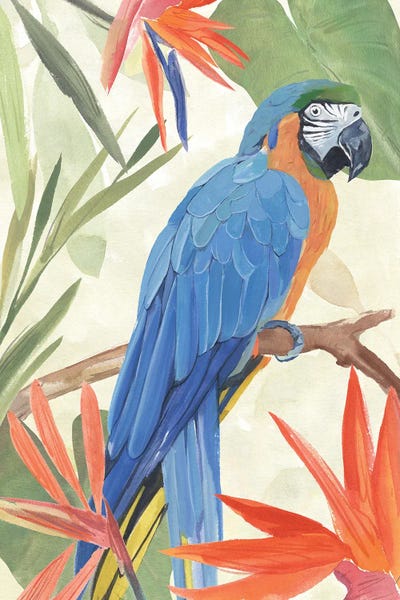 Parrots: Tropical Parrot Composition IV by Annie Warren