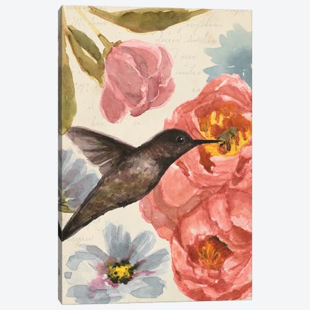 Nectar's Sip I Canvas Print #AWR25} by Annie Warren Canvas Artwork