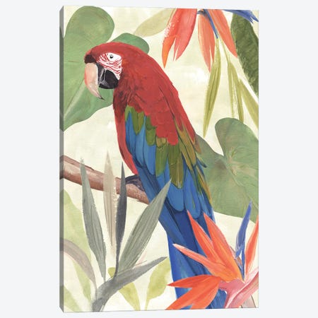 Tropical Parrot Composition III Canvas Print #AWR280} by Annie Warren Canvas Art