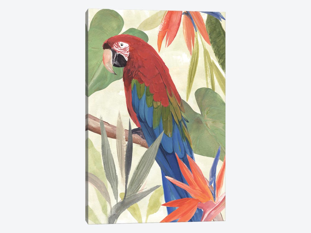 Tropical Parrot Composition III by Annie Warren 1-piece Canvas Print